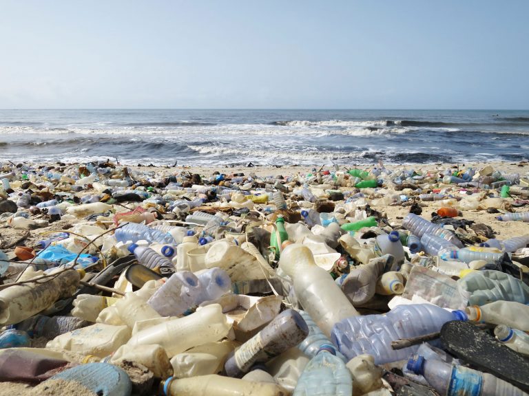 Single use plastic waste on the beach
